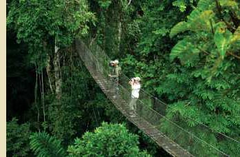 Inkaterra Reserva Amazónica, Canopy-Walkway