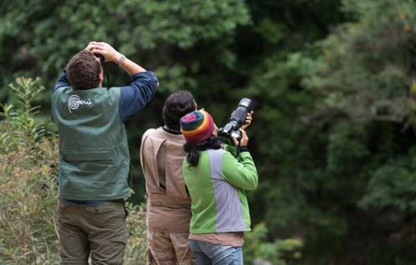 World Birding Rally Nor Amazon 2014
